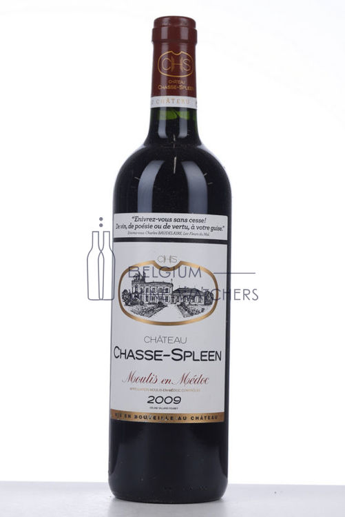 Image de 2009 CHASSE SPLEEN